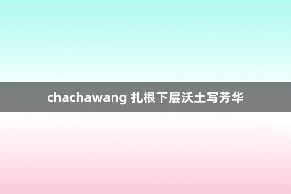 chachawang 扎根下层沃土写芳华