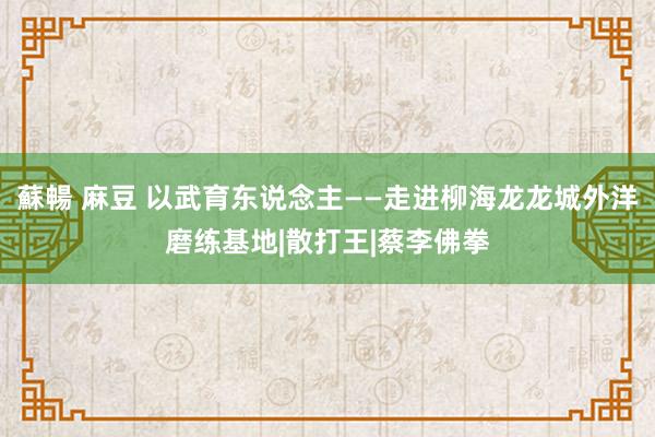 蘇暢 麻豆 以武育东说念主——走进柳海龙龙城外洋磨练基地|散打王|蔡李佛拳