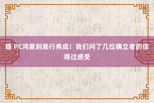插 PC鸿蒙到底行弗成！我们问了几位确立者的信得过感受