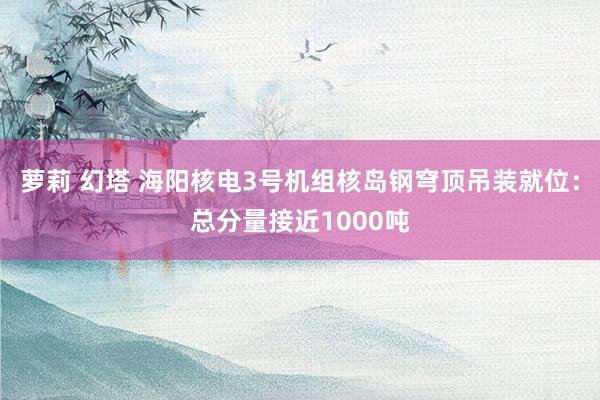 萝莉 幻塔 海阳核电3号机组核岛钢穹顶吊装就位：总分量接近1000吨