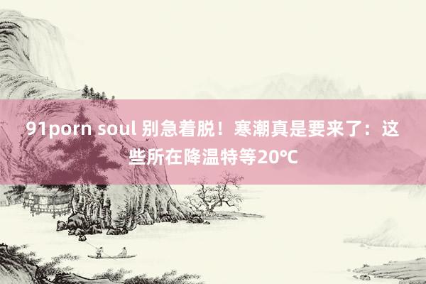 91porn soul 别急着脱！寒潮真是要来了：这些所在降温特等20℃