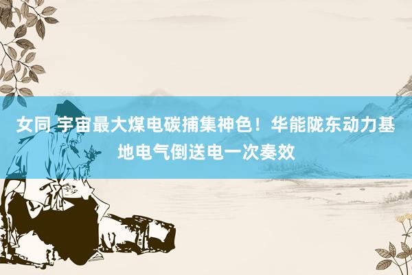 女同 宇宙最大煤电碳捕集神色！华能陇东动力基地电气倒送电一次奏效