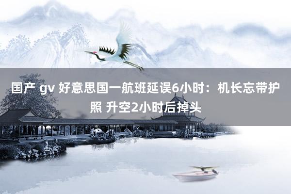 国产 gv 好意思国一航班延误6小时：机长忘带护照 升空2小时后掉头