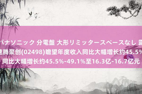 パナソニック 分電盤 大形リミッタースペースなし 露出・半埋込両用形 速腾聚创(02498)瞻望年度收入同比大幅增长约45.5%-49.1%至16.3亿-16.7亿元