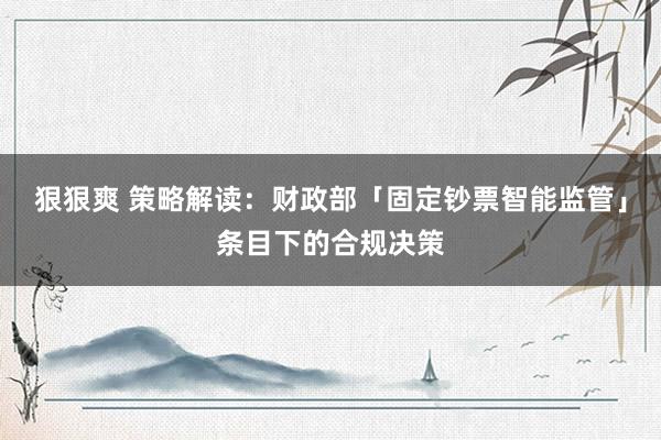 狠狠爽 策略解读：财政部「固定钞票智能监管」条目下的合规决策