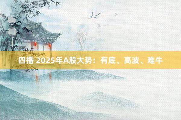 四播 2025年A股大势：有底、高波、难牛