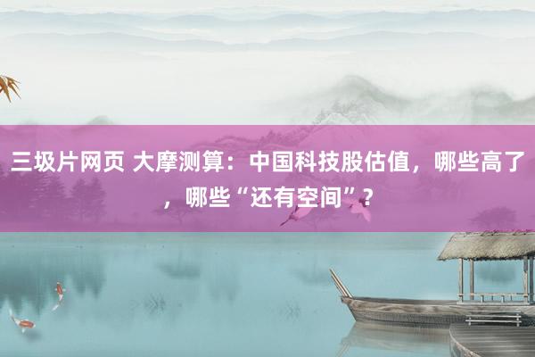 三圾片网页 大摩测算：中国科技股估值，哪些高了，哪些“还有空间”？