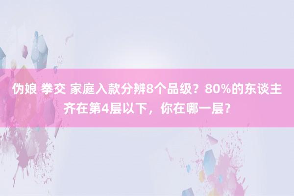 伪娘 拳交 家庭入款分辨8个品级？80%的东谈主齐在第4层以下，你在哪一层？