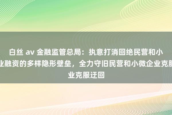 白丝 av 金融监管总局：执意打消回绝民营和小微企业融资的多样隐形壁垒，全力守旧民营和小微企业克服迂回
