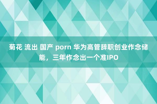 菊花 流出 国产 porn 华为高管辞职创业作念储能，三年作念出一个准IPO