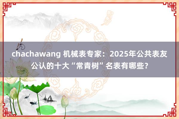 chachawang 机械表专家：2025年公共表友公认的十大“常青树”名表有哪些？