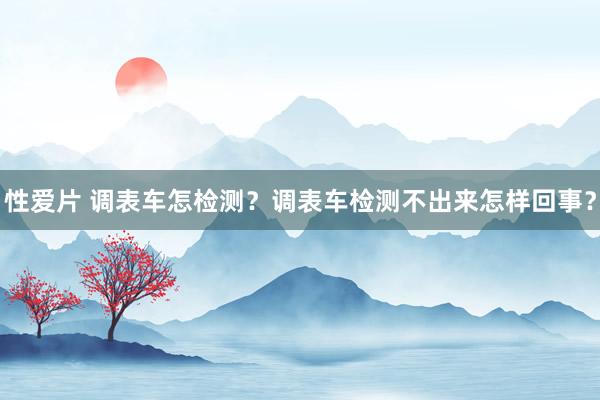 性爱片 调表车怎检测？调表车检测不出来怎样回事？