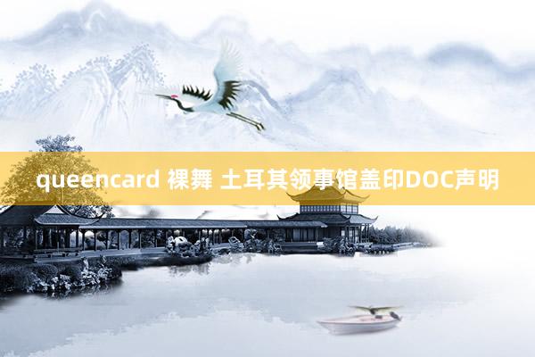 queencard 裸舞 土耳其领事馆盖印DOC声明