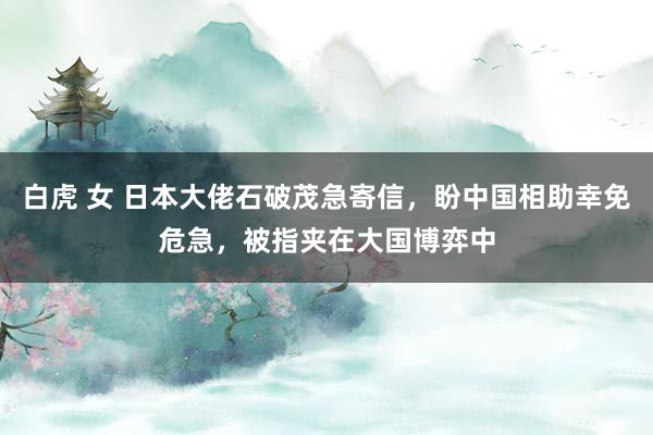 白虎 女 日本大佬石破茂急寄信，盼中国相助幸免危急，被指夹在大国博弈中