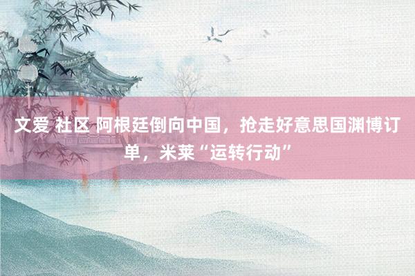文爱 社区 阿根廷倒向中国，抢走好意思国渊博订单，米莱“运转行动”