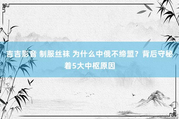 吉吉影音 制服丝袜 为什么中俄不缔盟？背后守秘着5大中枢原因
