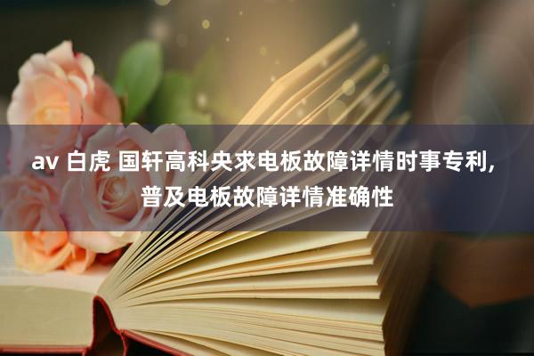 av 白虎 国轩高科央求电板故障详情时事专利, 普及电板故障详情准确性