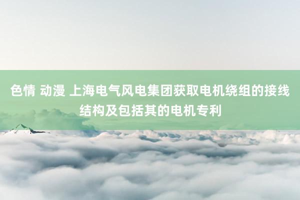 色情 动漫 上海电气风电集团获取电机绕组的接线结构及包括其的电机专利