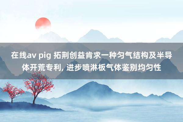 在线av pig 拓荆创益肯求一种匀气结构及半导体开荒专利, 进步喷淋板气体鉴别均匀性