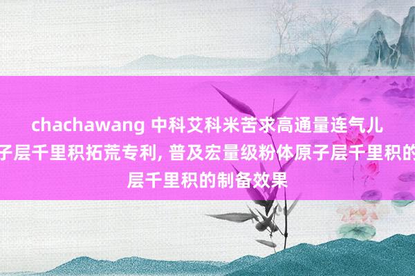 chachawang 中科艾科米苦求高通量连气儿型粉体原子层千里积拓荒专利, 普及宏量级粉体原子层千里积的制备效果