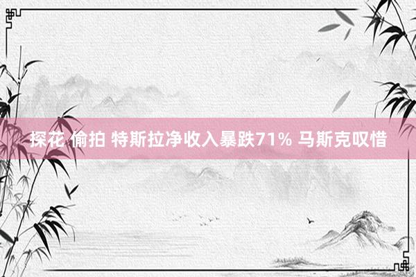 探花 偷拍 特斯拉净收入暴跌71% 马斯克叹惜