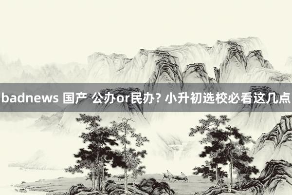 badnews 国产 公办or民办? 小升初选校必看这几点