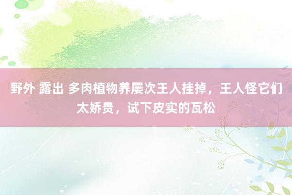 野外 露出 多肉植物养屡次王人挂掉，王人怪它们太娇贵，试下皮实的瓦松