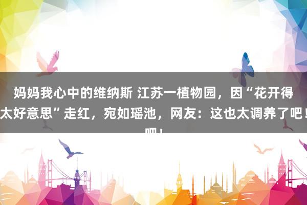 妈妈我心中的维纳斯 江苏一植物园，因“花开得太好意思”走红，宛如瑶池，网友：这也太调养了吧！