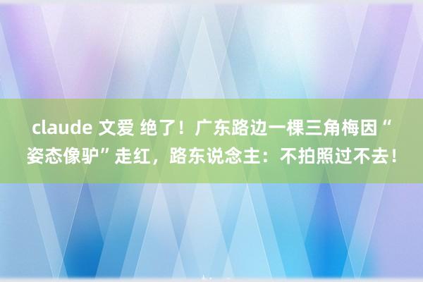 claude 文爱 绝了！广东路边一棵三角梅因“姿态像驴”走红，路东说念主：不拍照过不去！