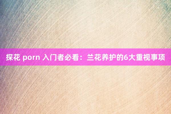探花 porn 入门者必看：兰花养护的6大重视事项
