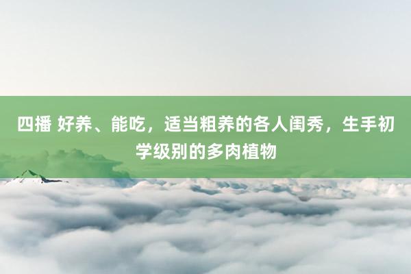 四播 好养、能吃，适当粗养的各人闺秀，生手初学级别的多肉植物