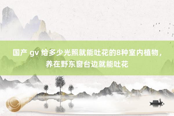 国产 gv 给多少光照就能吐花的8种室内植物，养在野东窗台边就能吐花