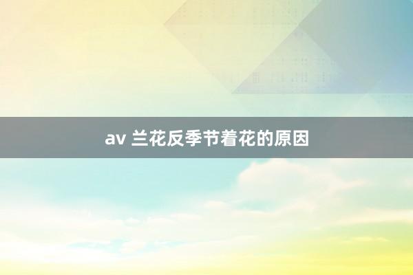 av 兰花反季节着花的原因