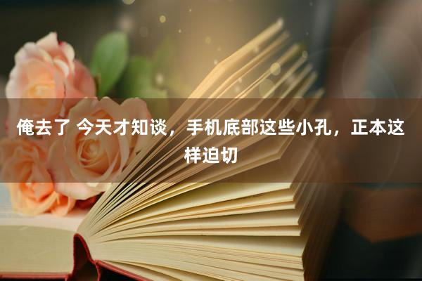 俺去了 今天才知谈，手机底部这些小孔，正本这样迫切