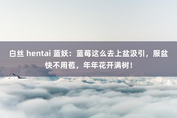 白丝 hentai 蓝妖：蓝莓这么去上盆汲引，服盆快不用苞，年年花开满树！