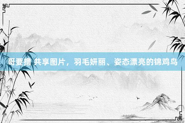 哥要撸 共享图片，羽毛妍丽、姿态漂亮的锦鸡鸟